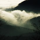 Fog 